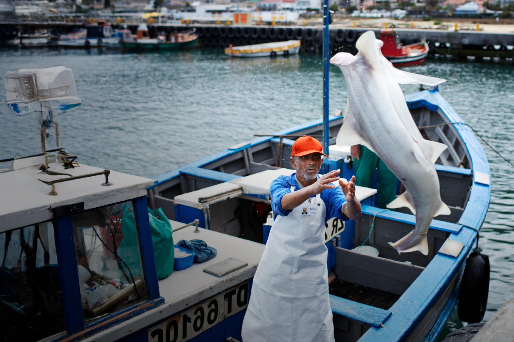 No-Lapse Fisherman Image